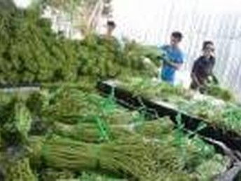 廣州農副產品配送與膳食托管 一體化餐飲服務助力企業高效運營